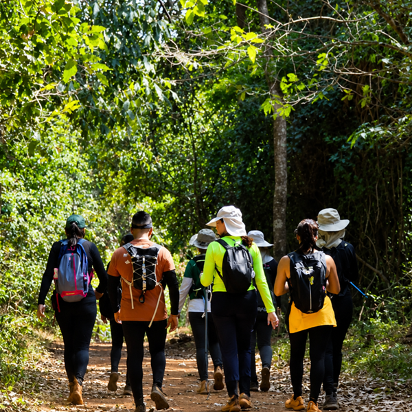 Grupo fazendo trekking