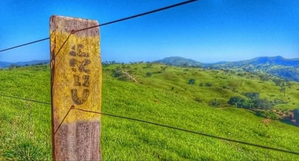 Caminho de Cora Coralina