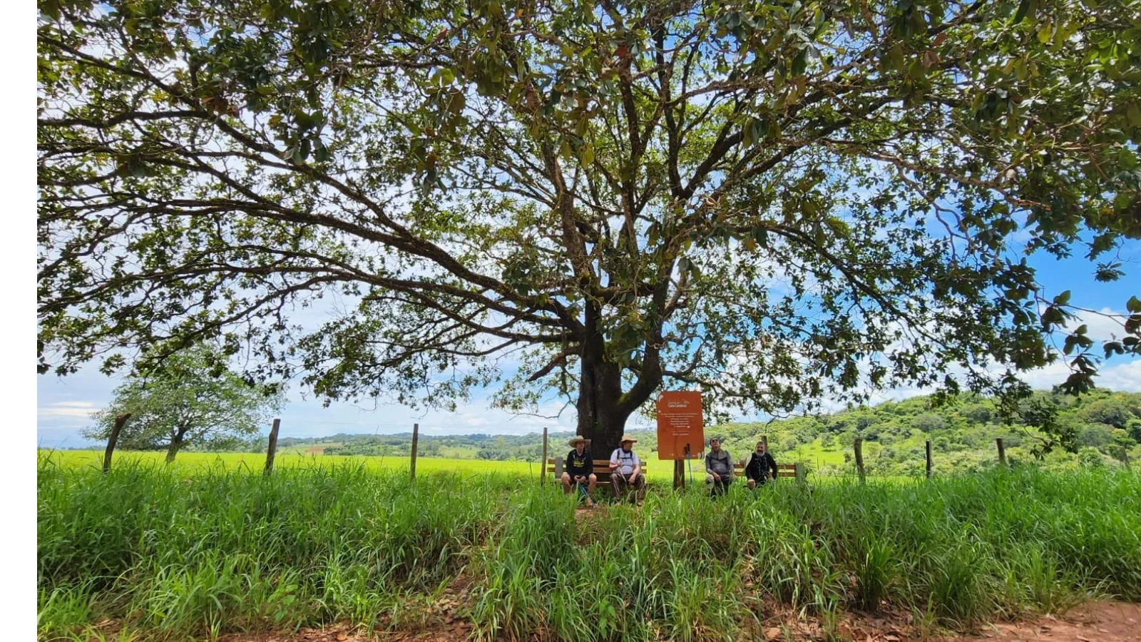 Caminho de Cora Coralina - Trecho 9