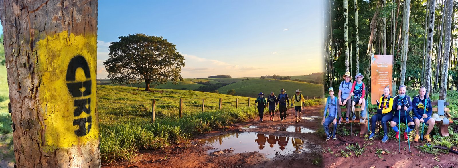 CAMINHO DE CORA ESSENCIAL